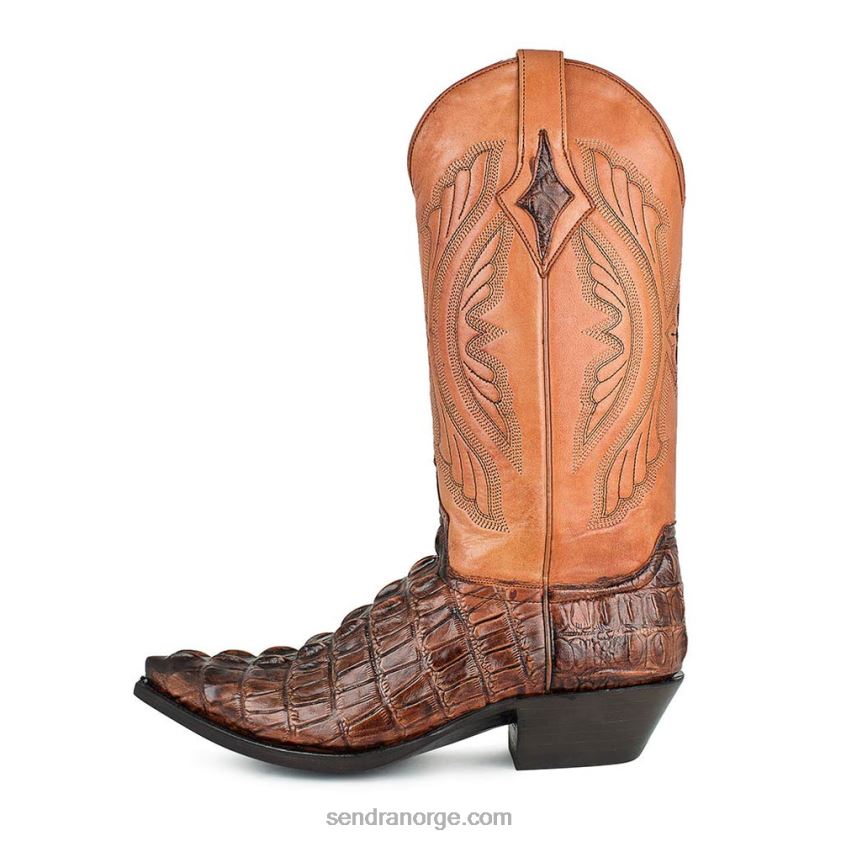 menn Sendra chihuahua caiman imit.conac8B46D200